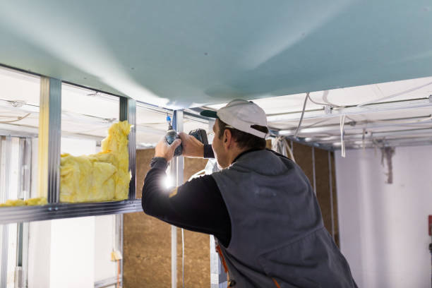 Best Commercial Insulation in Maxton, NC